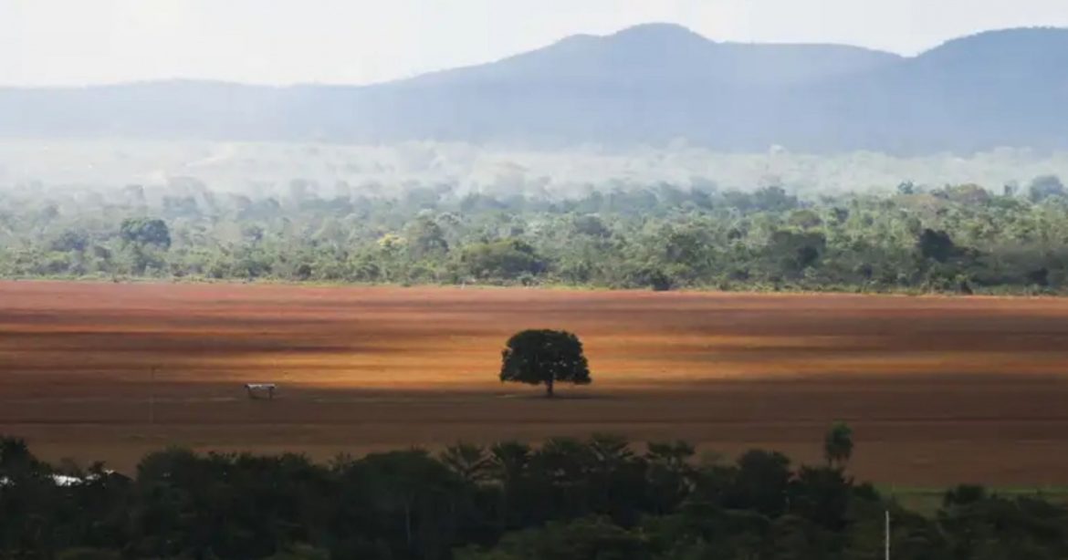 bndes-barra-r$-1,1-bilhao-em-credito-rural-por-suspeita-de-desmatamento-ilegal